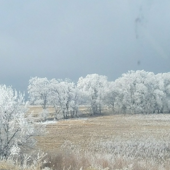 Meet your posher - Picture 2 of 4